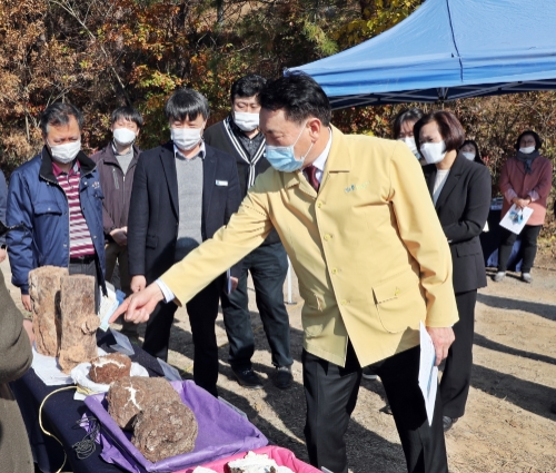 장흥군 비교 우위 자원 버섯류를 활용한 특화산업 추진 탄력/사진=장흥군