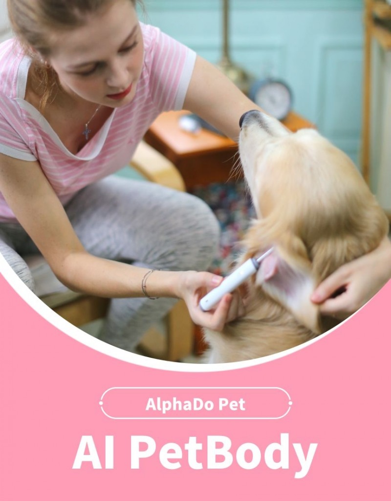 사진제공= 알파도