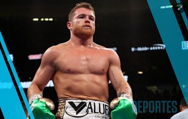 현역 최고 3대기구 통합챔프 알바레스, 올해 안에 IBF까지 석권