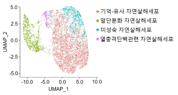 사진=세브란스병원