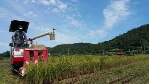 사진=진도군