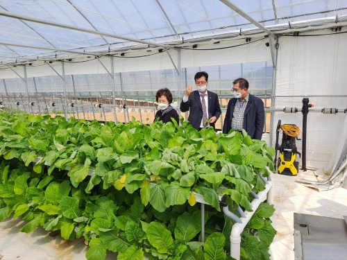 전남도의회 농수산위원회 최병용 의원(여수5)여수 돌산갓 융복합산업지구 현장의견 청취/사진=전남도의회