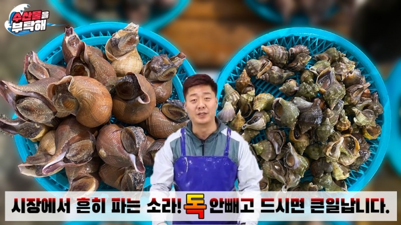 수산물을 부탁해 대진호 선주 “시장에서 파는 소라! 독 안 빼고 드시면 큰일납니다”
