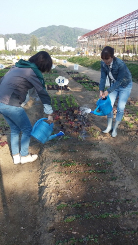 서초구, '건강한 가족 키움 텃밭 가꾸기 사업' 추진