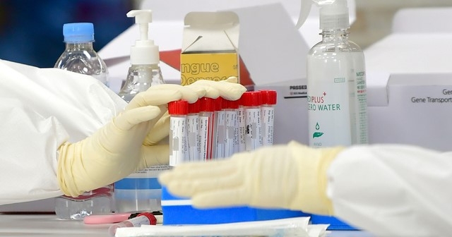 광주·전남 '초등학교·유흥·순천나이트' 곳곳서 코로나 확진