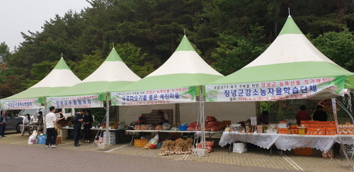 경남 창녕군, '농특산물 직거래장터' 운영