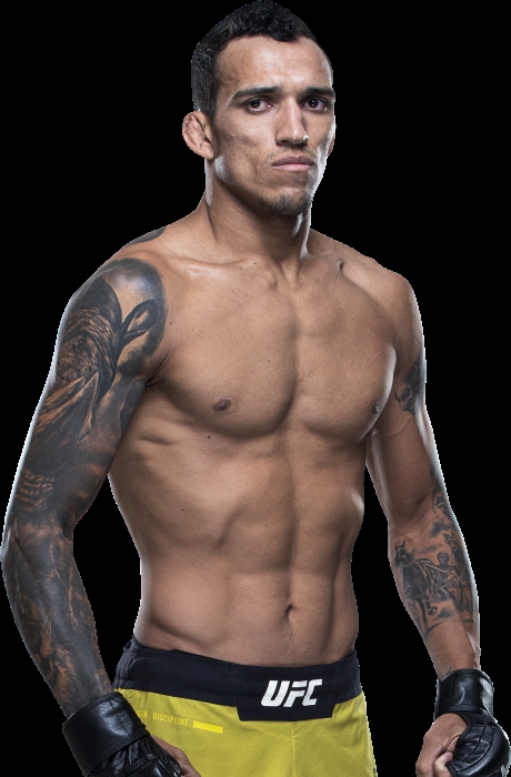 올리베이라, 새 챔피언. 미국 낙하산 챈들러에 2회 19초 대역전 TKO승