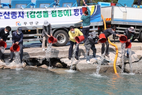 무안군, 수산종자 방류/사진=무안군