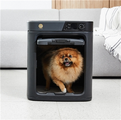 페페 펫드라이룸, CJ오쇼핑 첫 초특가 라이브 진행