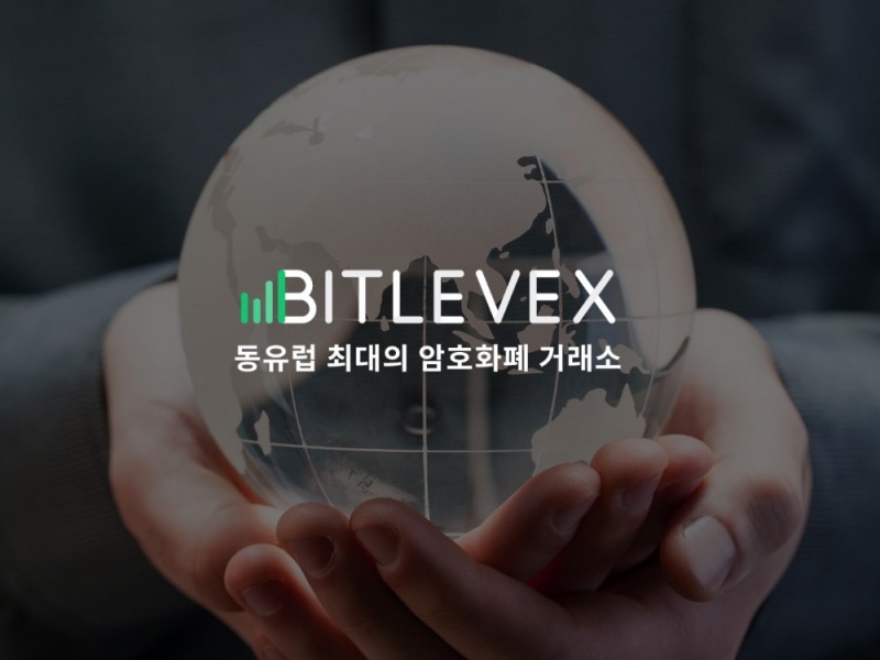 사진=비트레벡스 제공