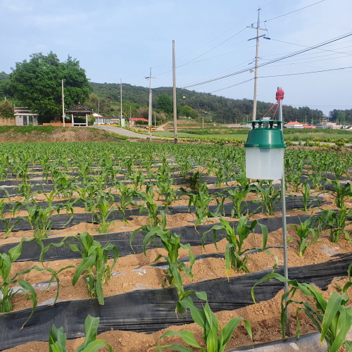 출처=보성군