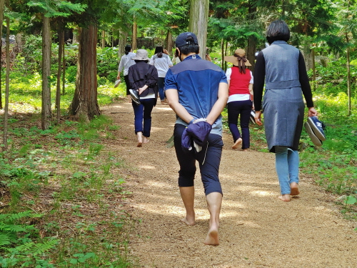 장흥군 정남진 편백숲 우드랜드, 산림 체험/사진=장흥군