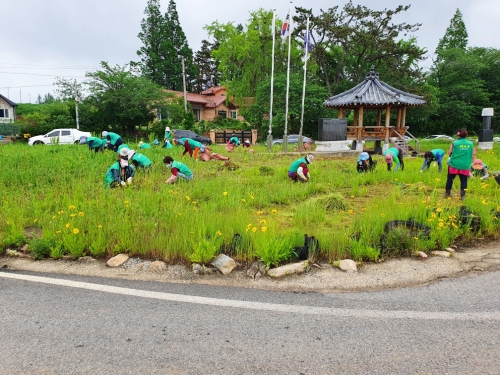 무안군 현경면 새마을부녀회, 유원지·학교 주변 환경정비 실시/사진=무안군