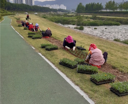 여름맞이 꽃 식재/사진=광양시