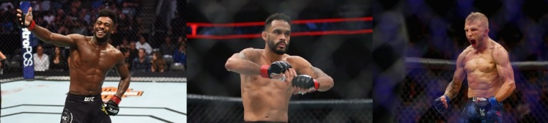 챔프들의 격전장 밴텀급. 롭 폰트, 딜라쇼, 세후도 가세로 한껏 가열