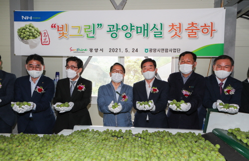 광양시, 2021년산 광양매실 첫 출하식 개최