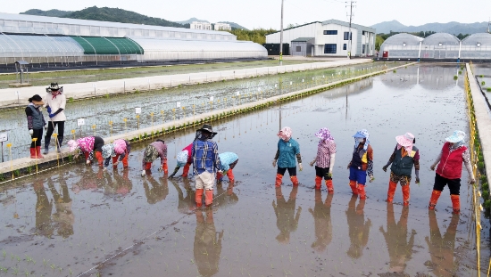 사진=담양군