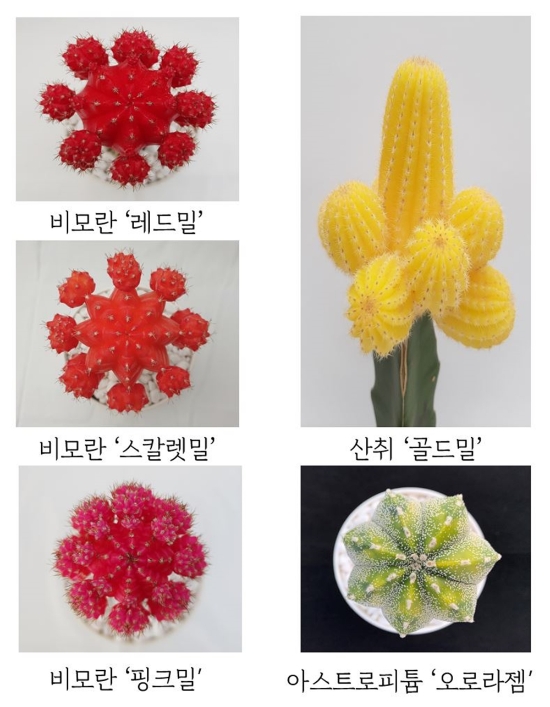 사진 제공 = 경기도농업기술원