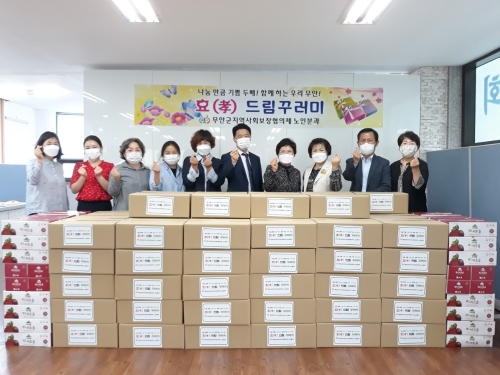 무안군지역사회보장협의체, 효(孝) 드림 꾸러미 전달/사진=무안군