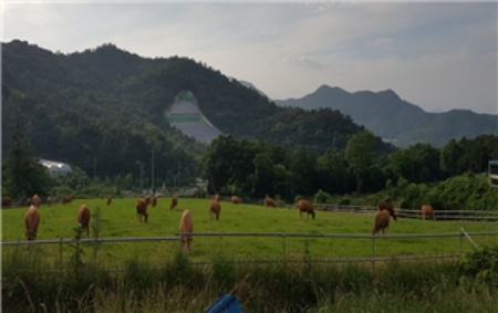 강진군의 축산농가 전경/사진=강진군