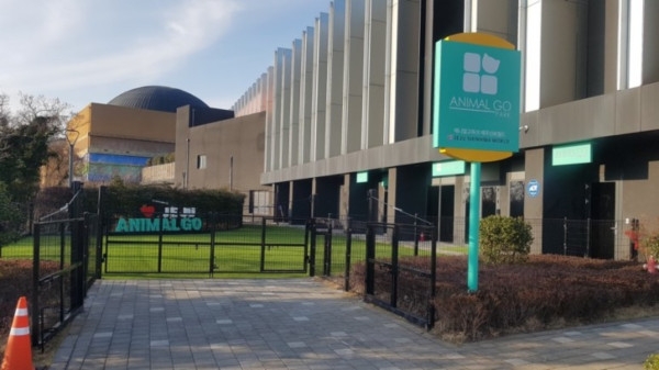 애니멀고, 고머니2 반려동물 사업 확장 단행
