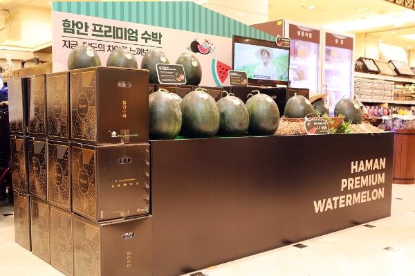 한진, ‘함안 프리미엄 수박’ 신세계백화점 입점