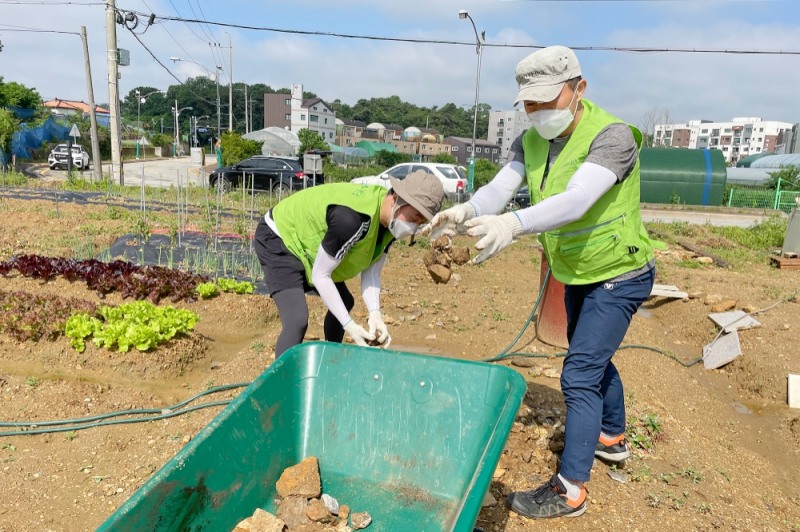 지난 4일 IT부문 IT경영정보부 직원들이 개토작업 및 잔돌정리를 실시하며 구슬땀을 흘리고 있다.