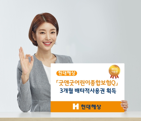 사진 제공 = 현대해상