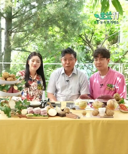 보성군 수미감자 온라인 특별 판촉행사/사진=보성군