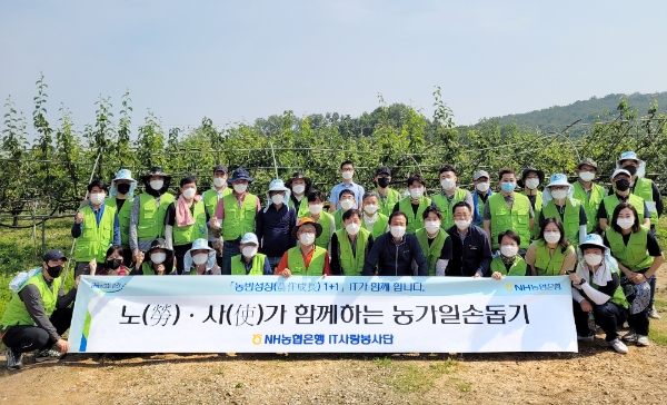 NH농협은행 IT부문, 정보보안부문과 노사 합동 농가 일손돕기 실시