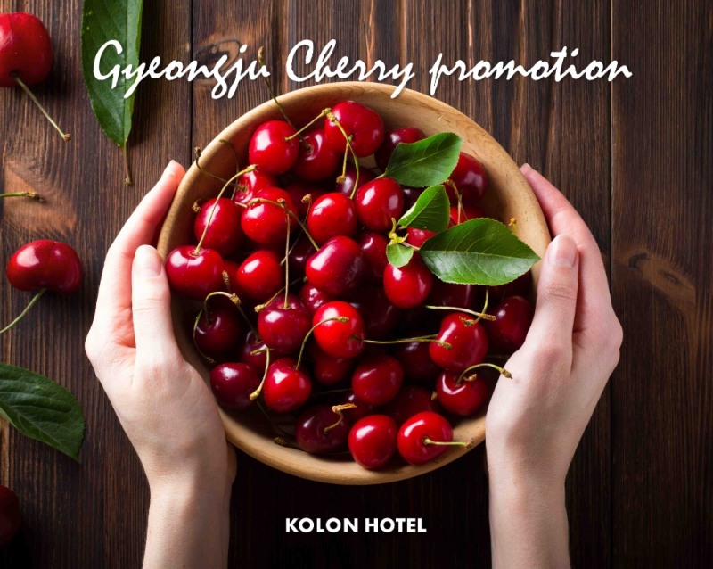 코오롱호텔, 지역 농가 상생 경주 체리 프로모션 실시