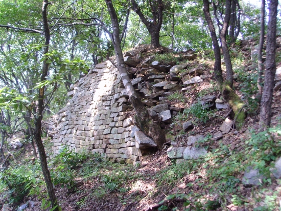 사진 제공 = 경기도