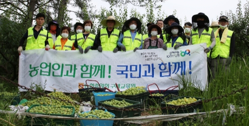 농협중앙회 구례교육원, 수확철 농촌 일손돕기/사진=전남농협