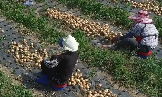 사진=담양군