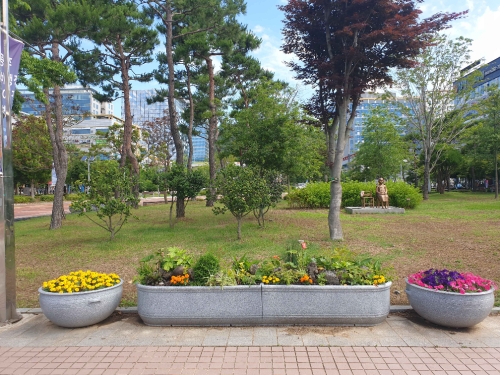 무안군(군수 김산)은 여름철을 맞아 남악신도시 주요 거리에 여름꽃을 식재하고 꽃단지를 조성하고 있다/사진=무안군