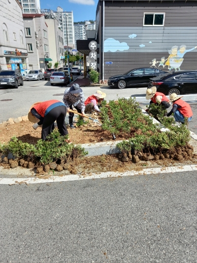목포시 부주동 당가두 마을가꾸기 추진반이 지난 16일 관내 공용주차장의 쾌적한 환경을 조성했다/사진=목포시