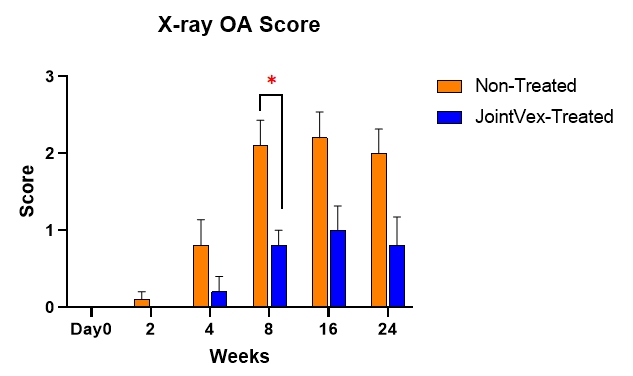 X-ray 검사를 통한 골관절염 점수 (*; p〈0.05) / 이미지 제공 = 엔솔바이오사이언스