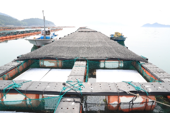 사진=완도군