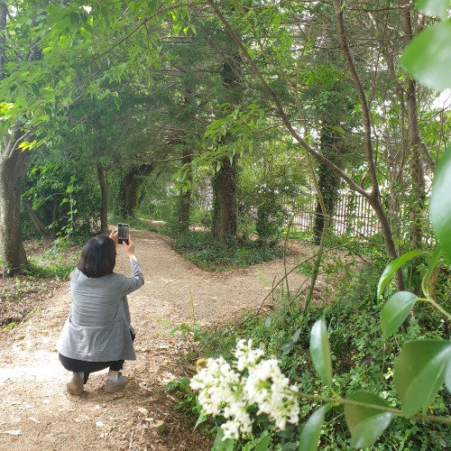 보성군이 산림청과 전라남도 도시숲 조성 공모사업 추진을 통해 주민 생활 밀접형 도시숲을 조성한다/사진=보성군