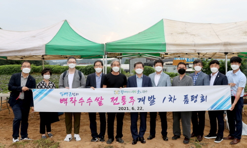 광명시, 특산미 '백작수수쌀 전통주 개발 1차 품평회' 개최