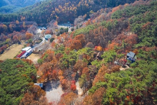 화순군 백아산 자연휴양림 전경./사진=화순군