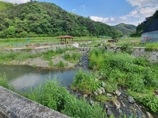 광주시 동구 내지천./사진=동구청