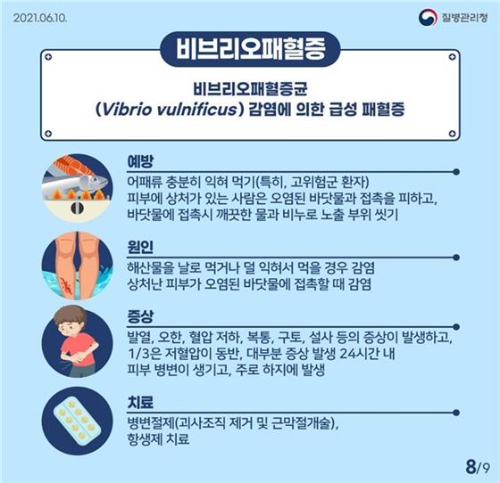 질병관리청 비브리오패혈증 감염 예방 홍보 리플릿/사진=목포시