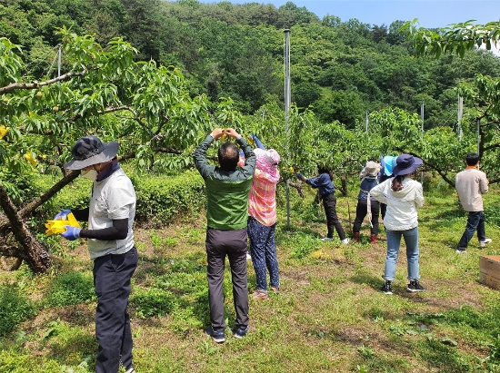 사진=화순군
