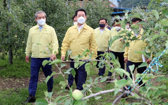 김영록 전라남도지사와 유근기 곡성군수가 24일 오후 사과 우박피해를 입은 곡성군 오곡면 미산리 농가를 방문, 우박피해를 살펴보고 있다./사진=전라남도