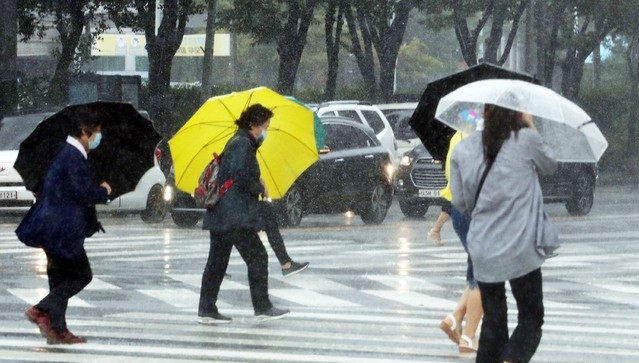 '제10호 태풍 하이선(HAISHEN)'의 영향으로 강풍이 불고 비가 내리는 7일 오전 인천시 미추홀구 인천버스터미널역 사거리에서 시민들이 힘겹게 걸어가고 있다.