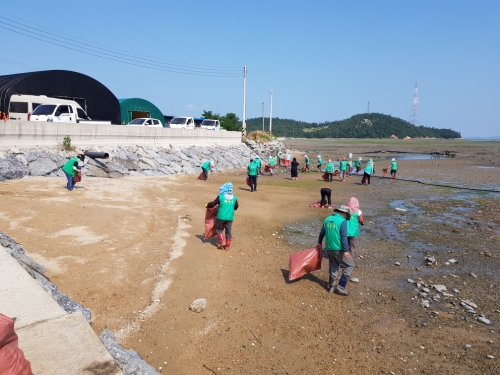 무안군 운남면 새마을남·여협의회 바닷가 환경개선 및 면소재지 보도주변 잡초제거 구슬땀/사진=무안군