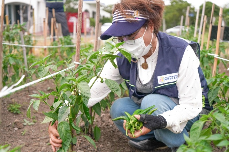제주신화월드 행복농장 첫 수확 기부