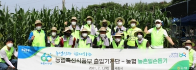 농협중앙회, 농식품부 출입기자단과 농촌일손돕기 나서