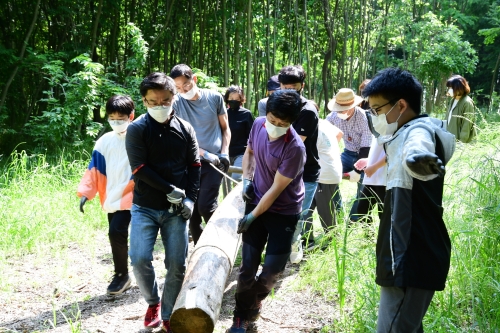 곡성꿈놀자학교, 섬진강 제월섬 트리하우스 만들기/사진=곡성군